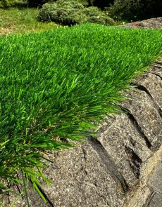 Искусственная трава Landgrass 40 - высокое качество по лучшей цене в Украине.