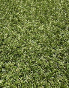 Искусственная трава Landgrass 15 - высокое качество по лучшей цене в Украине.
