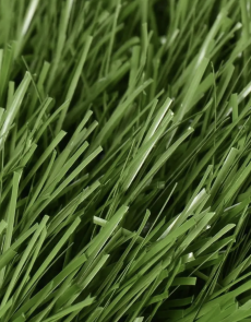 Штучна трава JUTAgrass PIONEER 40/130 - высокое качество по лучшей цене в Украине.