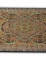 Иранский ковер Diba Carpet Eshgh Meshki - высокое качество по лучшей цене в Украине - изображение 2.