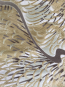 Акриловий килим Bamboos 3865A - высокое качество по лучшей цене в Украине - изображение 2.