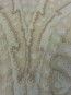 Акриловий килим Bianco 3750A - высокое качество по лучшей цене в Украине - изображение 4.