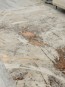 Килим GEMMA GM41B h.b light beige - terra - высокое качество по лучшей цене в Украине - изображение 3.