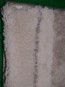 Акриловий килим Paris 0245 cream-beige - высокое качество по лучшей цене в Украине - изображение 3.