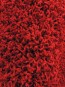 Високоворсний килим Loca (Super Lux Shaggy) 6365A RED - высокое качество по лучшей цене в Украине - изображение 1.