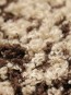 Високоворсний килим Montreal 902 BROWN-CARAMEL - высокое качество по лучшей цене в Украине - изображение 1.