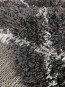 Високоворсний килим Quattro 3507A D.Grey/L.Grey - высокое качество по лучшей цене в Украине - изображение 1.