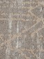 Ситетичний килим Troya V462B Coken Dark Beige - высокое качество по лучшей цене в Украине - изображение 2.