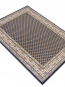 Синтетичний килим Amina 27003/810 - высокое качество по лучшей цене в Украине - изображение 1.