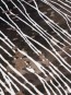 Синтетичний килим Vogue 9896A BLACK-CREAM - высокое качество по лучшей цене в Украине - изображение 2.