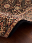 Шерстяний килим Agnus Liwia Czarny (black) - высокое качество по лучшей цене в Украине - изображение 3.
