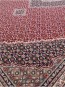 Шерстяний килим Puccini 71011-1010 - высокое качество по лучшей цене в Украине - изображение 1.
