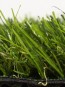 Искусственная трава Congrass AMSTERDAM 30 - высокое качество по лучшей цене в Украине - изображение 2.