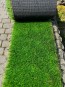 Искусственная трава Landgrass 40 - высокое качество по лучшей цене в Украине - изображение 3.