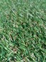 Искусственная трава Natura GC-21 - высокое качество по лучшей цене в Украине - изображение 1.