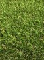 Искусственная трава Orotex MONA - высокое качество по лучшей цене в Украине - изображение 1.
