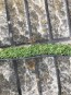 Искусственная трава RIVIERA - высокое качество по лучшей цене в Украине - изображение 2.