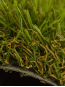 Искусственная трава Condor Grass Soul 28 мм - высокое качество по лучшей цене в Украине - изображение 1.