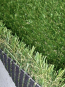 Штучна трава JULIETTE 40/28st. - высокое качество по лучшей цене в Украине - изображение 1.