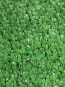 Искусственная трава Витебск 5мм - высокое качество по лучшей цене в Украине - изображение 1.