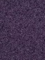 Ковролин для дома Holiday 47757 violet - высокое качество по лучшей цене в Украине - изображение 1.