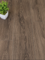 Побутовий лінолеум BEAUFLOR Artex Cumbrian Oak 669D - высокое качество по лучшей цене в Украине - изображение 1.