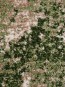 Синтетична килимова доріжка KIWI 02637A L.GREEN/BEIGE - высокое качество по лучшей цене в Украине - изображение 4.